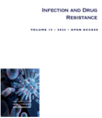 Salmonella Group D1 Subdural Empyema Mimicking Subdural Hematoma: A Case Report